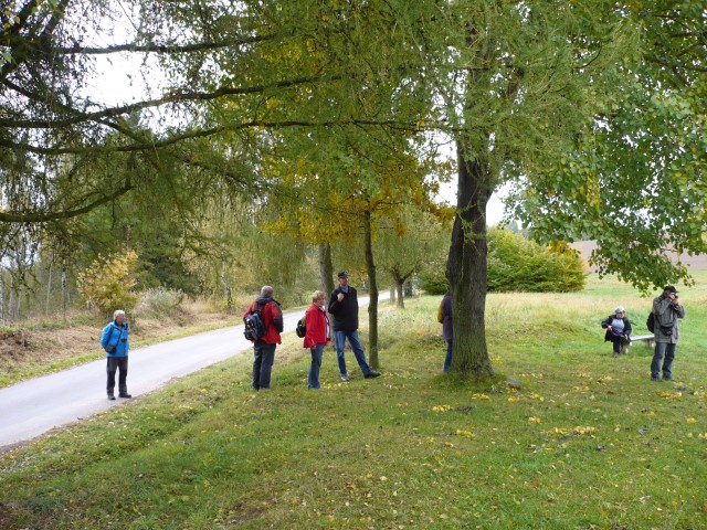 zastavení u rybníka